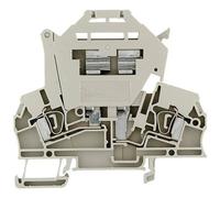 Weidmüller 1616410000-1 Morsetto componibile portafusibili A molla Beige scuro