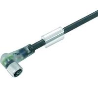 Weidmuller - Connection sail-m8bw-4l10u