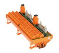 Weidmuller Red Line - Interface rs32es-t-l Femmina/Zona