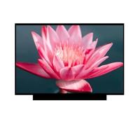 WEIGEXIEO Compatibile con ThinPad, X390 X395 20Q0 20Q1 20SC LCD Portatile | Compatibile con Lenovo, 20SD 20NL 20NM, 13,3 pollici FHD 1080P LED non touch a 30 pin, schermo LCD