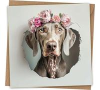 Weimaraner Biglietto di auguri - divertente testa di cane attraverso il muro biglietto di auguri di compleanno con busta kraft