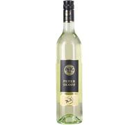 Weingut Peter Skoff Steirischer JUNKER 2025 - 0,75 L