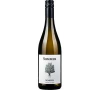 Weingut Sommer Grüner Veltliner Schiefer Leithaberg DAC 2025 Bio - 0,75 L