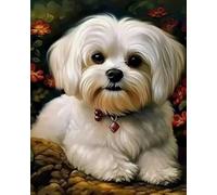 Weiniuniu Kit per pittura con diamanti 5D per adulti Animale shih tzu completo con numero rotondo di cristalli di strass DIY decorazione da parete per la casa 40x50 cm