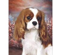 Weiniuniu Kit Punto Croce Prestampato Cavalier King Charles Spaniel 11CT Per Adulti Ricamo Starter Kit Decorazione Artistica Da Parete fai da te Per Principianti 40x50 cm