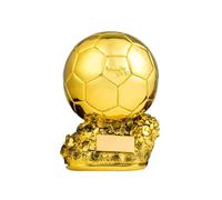 WEIQIAO Replica del Trofeo Palloncino d'oro in Resina - Personalizzabile, premio Calcio Miglior Giocatore & Souvenir Sportivo (20cm)