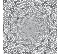 Weird Omen A Place I Want to Know/Girls Are Dancing On the Highway (Vinyl LP)