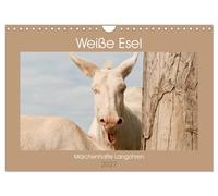 Weiße Esel - Märchenhafte Langohren (Wandkalender 2027 DIN A4 quer), CALVENDO Mo