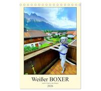 Weißer BOXER im Urlaub (Tischkalender 2026 DIN A5 hoch), CALVENDO Monatskalender: Wunderschöne Naturaufnahmen im Urlaubsalltag eines weißen Boxers