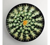 WEISSESTAL SERVIZIO TAVOLA 24PZ. NATURA NERO