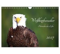 Weißkopfseeadler. Herrscher der Lüfte. 2027 (Wandkalender 2027 DIN A4 quer), CAL