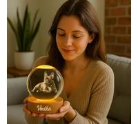 WEIYOUDP Luce a sfera di cristallo personalizzata con foto 2D, luce notturna a LED per cane o gatto, regalo commemorativo, anniversario, Natale, compleanno, cornici da tavolo (8 cm)