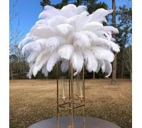 wejiay 15-70CM 10PZ Piume di Struzzo Bianche per Artigianato Accessori per Matrimoni Decorazione Centrotavola Decorazione Piume 6-28 pollici-65-70cm-10pz