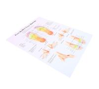 WEKADRIN Poster Riflessologia Plantare Medico Chart Anatomia Piede per Professionisti e Studenti Materiale Resistente e Facile da Pulire Decorazione Ufficio Istruttiva