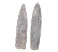 WEKADRIN Set 2 Pezzi Di Esemplari Naturali Di Belemnite 5-6 Cm, Campioni Didattici Di Fossili Minerali Per Studio Di Geologia e Paleontologia, Decorazioni Educative Per Collezioni e Scuole