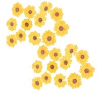 WEKAMOS 24 Pezzi Fiori Secchi Pressati Margherita per Scrapbooking Decorazione Custodia Cellulare Fai da Te Artigianato Handmade