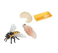 WEKAMOS Modelli Ciclo delle Api Giocattoli Educativi in Plastica Sicura per Kit Didattico per Apicoltura e