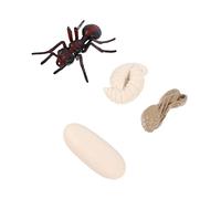 WEKAMOS Rosse Cognitivo Educativo per Bambini Set Didattico in PVC Simulazione del Ciclo Sicuro e Pratico Decorazione Esposizione