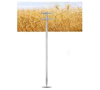 WEKONUMEX Sonda campionatrice per Il Suolo, Sonda di campionamento Solido for fertilizzanti in Cemento in Polvere granulare a 3 Slot in Acciaio Inossidabile, Diverse Dimensioni(1.2'',L39.3'')