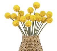 Wekuw 18 Pezzi Fiori Secchi Decorativi, Fiori Finti per Decorazioni, Fiore Artificiale Palla Billy, Fiori Decorativi, per Interni ed Esterni per il Ringraziamento, Natale, Matrimoni in Balcone