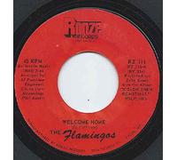 Welcome Home / Gotta Have All Your Lovin-7" 45