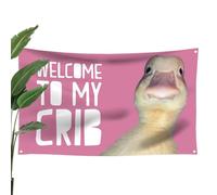 Welcome To My Crib Flag - Polyester 3x5ft 90x150cm Banner | Wall Room Pennant with Brass Grommets, Easy Hanging, Party Decor | Man Cave Tapestry College Housing, Outdoor Patio