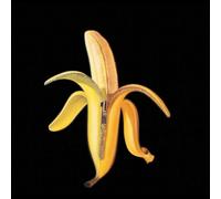 Welcome to the Monkey House by Dandy Warhols (2003-08-02)