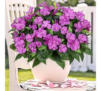 Weldomcor 3 fasci di fiori artificiali per balcone, fiori artificiali, come veri e propri esterni, resistenti alle intemperie, per esterni, bouquet, piante, resistenti ai raggi UV, per balconi,
