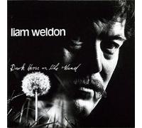 Liam Weldon – Dark Horse On the Wind – CD
