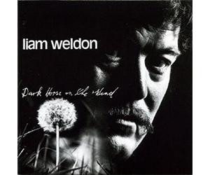 Weldon, Liam - Dark Horse On The Wind