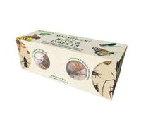 Weldon Owen The Magnificent Box of Bugs and Insects (Mixed Media Product)