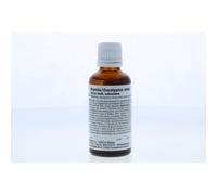 Weleda BRYONIA EUCALYPTUS COMPOSTA GOCCE ORALI SOLUZIONE 50 ML