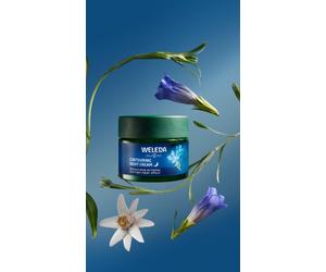 Weleda Crema notte liftante Genziana blu e amamelide alpina