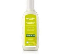 Weleda Cura Cura dei capelli Millet Nourishing Shampoo 190 ml