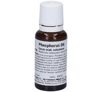 PHOSPHORUS D6 DIL 20ML WE