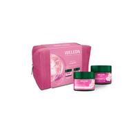 Weleda - Routine Levigante Set cura del viso 1 pieces unisex