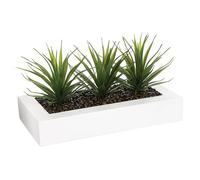 WELL HOME - Centrotavola decorativo con 3 piante Aloe Vera H.17 cm