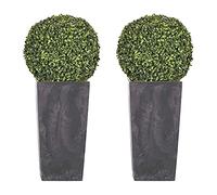 WELL HOME MOBILIARIO & DECORACIÓN Set di 2 fiori+2 piante bosso antracite