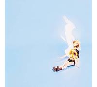 Well Wisher This Is Fine (CD) Album