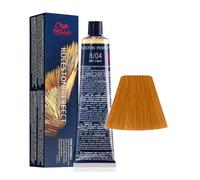 Wella Koleston Perfect Me+ 8/04 60 ml Nero 60 ml Lozione per capelli