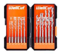 WELLCUT Set di 12 punte da trapano in acciaio HSS, resistente, con gambo esagonale da 2 a 6,5 mm, per forare superfici in plastica dura, legno/pietra e metallo, per fai da te e professionisti