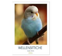 WELLENSITTICHE - Süße Wellis (Wandkalender 2026 DIN A3 hoch), CALVENDO Monatskalender: Ein neues Jahr - ein neuer Kalender! Für ... Motiven prachtvoller Wellensittiche!