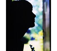 Weller,Paul - Wild Wood [Musikkassette] [Import]