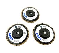 WELLERWERKZEUGE | Set di dischi a ventaglio, grana: 80, 76 x 10 mm, adatto per mini smerigliatrici angolari a batteria come Bosch GWS 10,8 V, 12 V, per acciaio, legno, plastica (3)