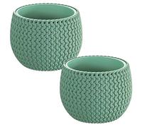 WELLHOME 2 x vaso rotondo con serbatoio Splofy Bowl in plastica di colore salvia 14,4 (lunghezza) x 14,4 (larghezza) x 11 (altezza) cm
