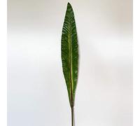WELLHOME Foglio Artificiale Decorazione 98 cm Gomma, Lama Pilistra, Hoja de pilistra