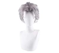WELLHY Anime Le Bizzarre Avventure di Koichi Hirose Parrucca Parrucca Cosplay Gioco di Ruolo Colore Grigio 35 cm Parrucca KEEBON Coser