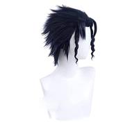 WELLHY Parrucca Cosplay Anime Le Bizzarre Avventure di Cosplay Kujo Jotaro Uomini Nero Blu Parrucca Anime Cosplay Parrucca Sintetica Resistente al Calore Halloween for Coser