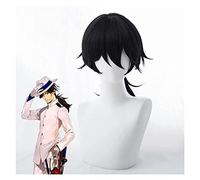 WELLHY Parrucca Cosplay Gioco Fate Grand Order Parrucche Cosplay Ryouma Sakamoto Cosplay Parrucca Sintetica Capelli Halloween Festa di Carnevale Parrucca Cosplay Anime for Coser