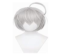 WELLHY Parrucca Cosplay Parrucca Anime Cosplay Parrucca Tokyo Revengers Parrucca Senju Kawaragi Parrucca Grigio Argento Bobo Capelli Corti con Cappuccio Parrucca Gratuito for Halloween Festa Carnevale